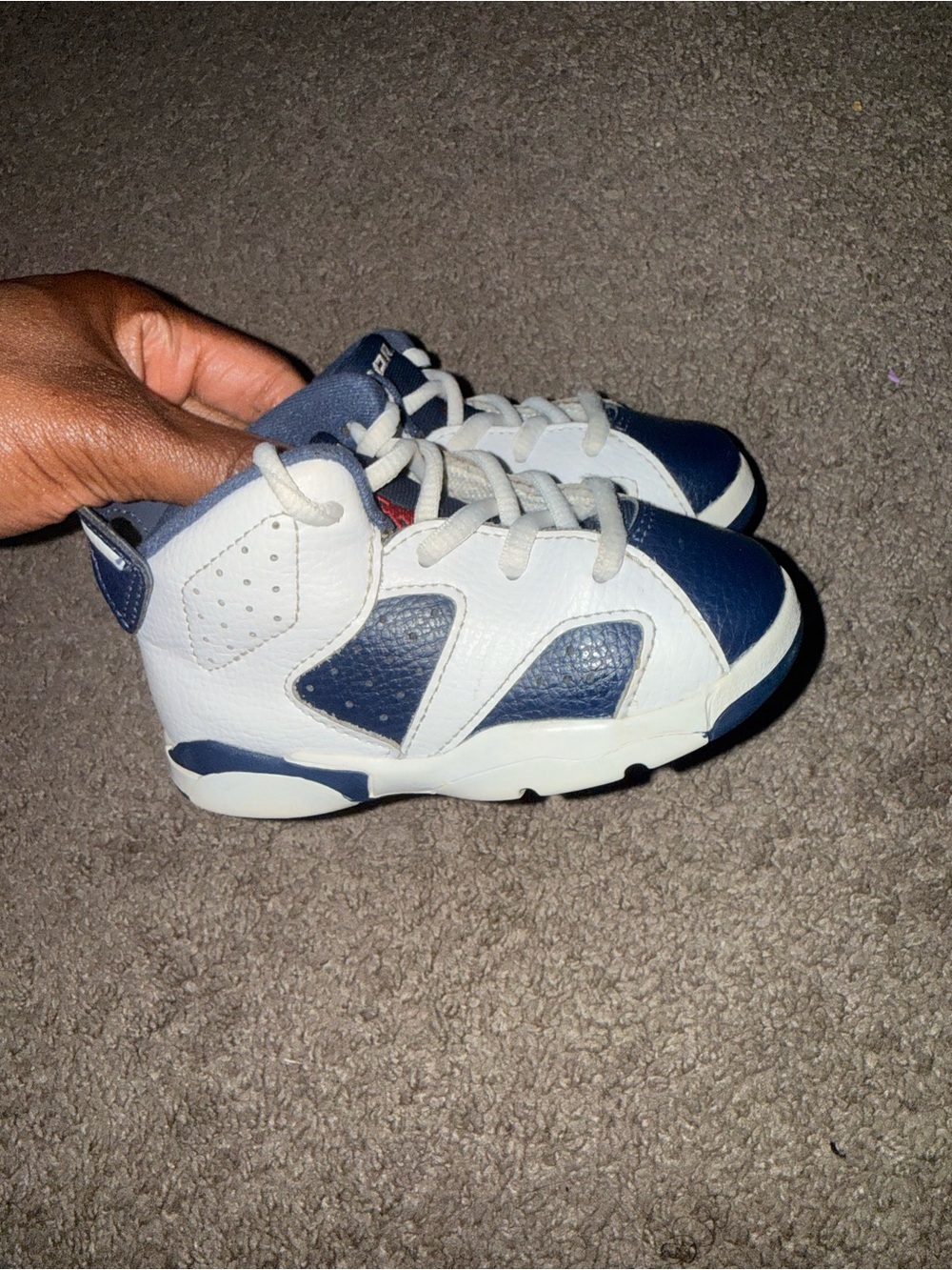Jordan 6 TD